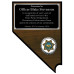 Downtown Enforcement Team Nevada Plaque