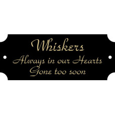 1" x 2 1/2" Black Brass Plate, Engraved