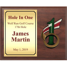 Hole In One Golf Plaque with Resin Ball Holder
