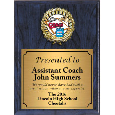 Economy Heat Transfer Coach Plaque with Sunburst Foil Coach Medallion Economy Heat Transfer Coach Plaque with Sunburst Foil Coach Medallion