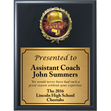 Economy Heat Transfer Coach Plaque with Holographic Coach Medallion Economy Heat Transfer Coach Plaque with Holographic Coach Medallion