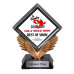 Custom Diamond Wings Trophy