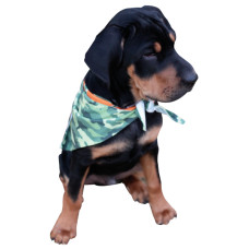 Triangle Cut Dog Bandana Triangle Cut Dog Bandana