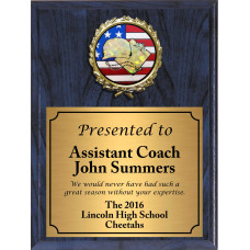 Economy Heat Transfer Coach Plaque with Flag Hologram Coach Medallion Economy Heat Transfer Coach Plaque with Flag Hologram Coach Medallion
