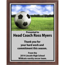 Heat Transfer Plaque, Silver Plate Heat Transfer Plaque, Silver Plate