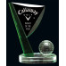 Crystal Green Golf Flag Award
