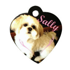 Heart Pet Tag Heart Pet Tag