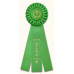Champion Rosette Award Ribbons Champion Rosette Award Ribbons