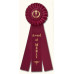 Champion Rosette Award Ribbons Champion Rosette Award Ribbons