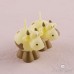 Miniature Cow Candles in Novelty Barn Gift Box